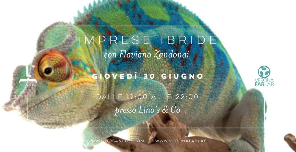 Imprese ibride con Flaviano Zandonai